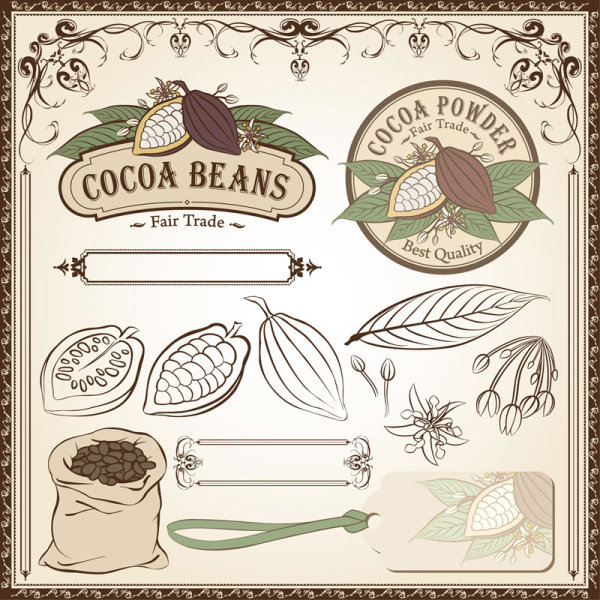 Cocoa beans elements of labels and Pattern ,Borders vector