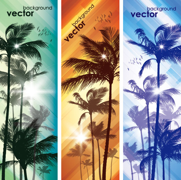 Coconut elements banner vector 01
