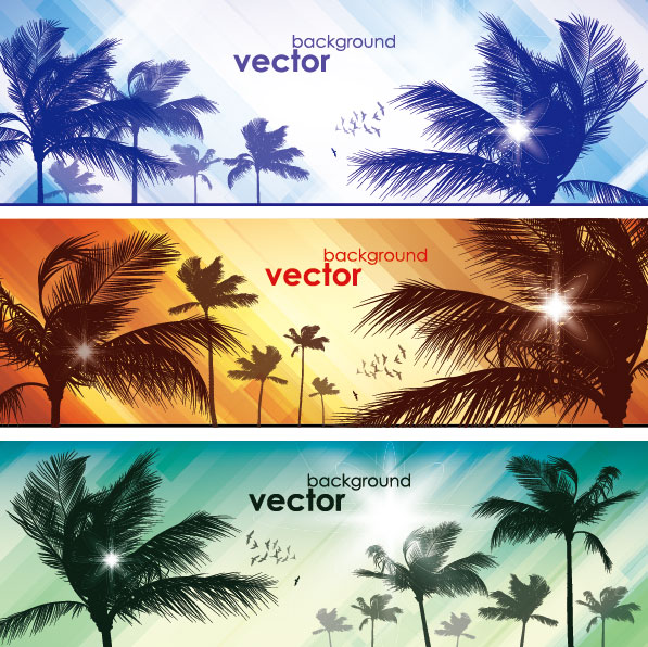 Coconut elements banner vector 02