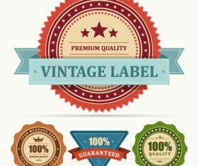 Set of Vintage Business labels vector 01