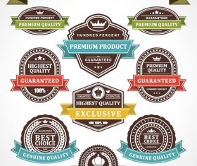 Set of Vintage Business labels vector 04