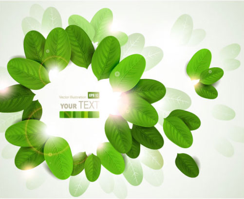 Shiny Leaves vector background 03