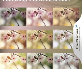 Blossom photoshop actions