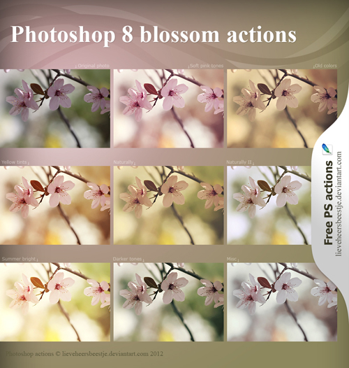 Blossom photoshop actions