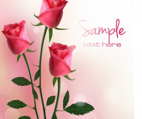 Set of Pretty rose elements vector 03