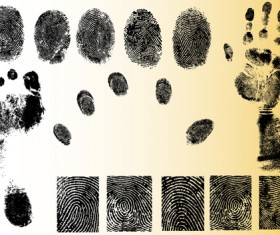 Set of Fingerprint identification vector 01