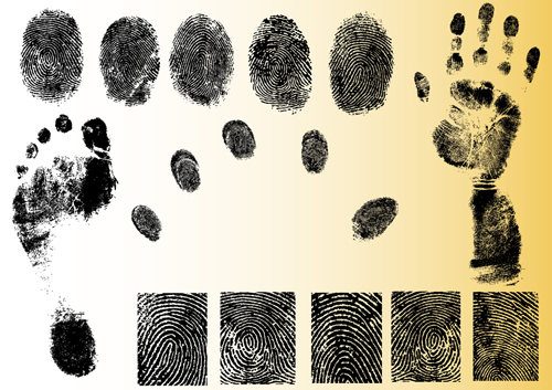 Set of Fingerprint identification vector 01