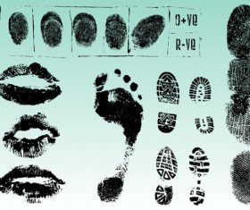 Set of Fingerprint identification vector 02