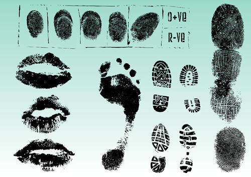 Set of Fingerprint identification vector 02