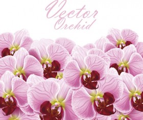 Set of with Flowers elements background vector 03