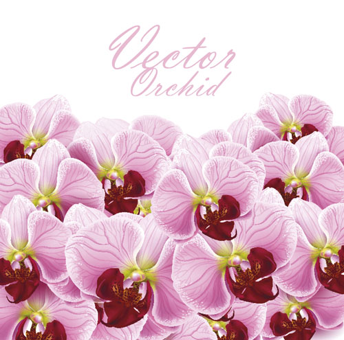 Set of with Flowers elements background vector 03