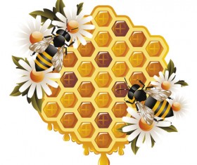 Elements of Honey and Bees vector set 01