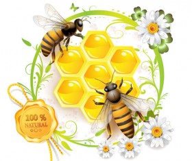 Elements of Honey and Bees vector set 02