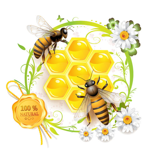 Elements of Honey and Bees vector set 02