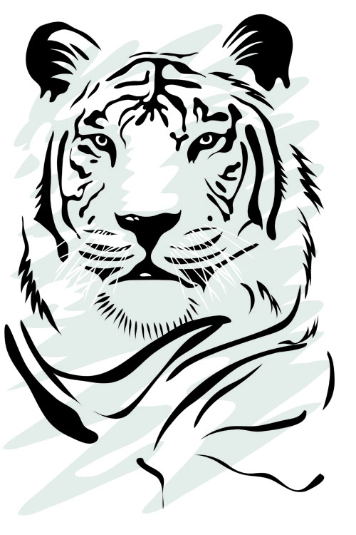 Set of tiger elements vector 02
