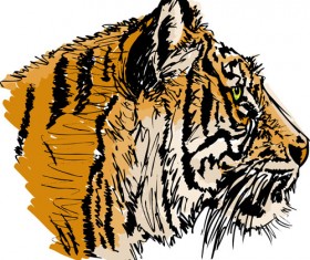 Set of tiger elements vector 03