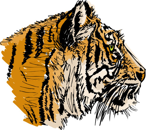 Set of tiger elements vector 03