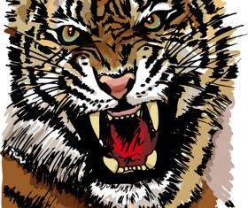 Set of tiger elements vector 04