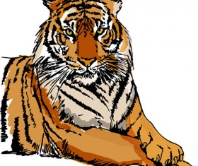 Set of tiger elements vector 05