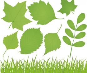 Different leaves design elements vector 01