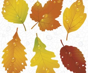Different leaves design elements vector 03