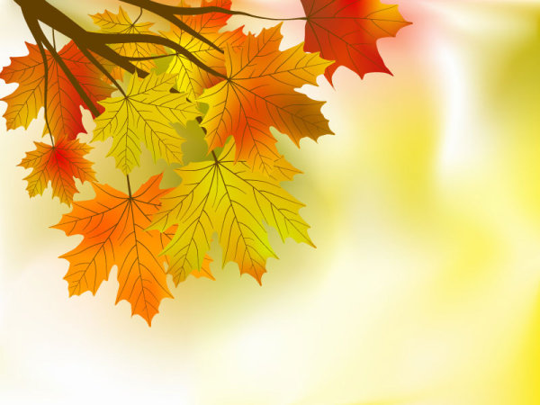 Fall of Maple Leaf elements background vector 01