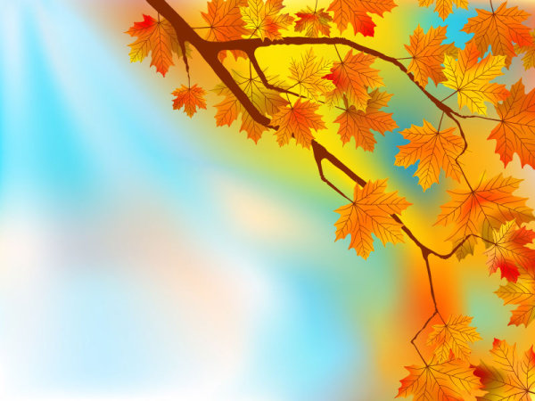 Fall of Maple Leaf elements background vector 02