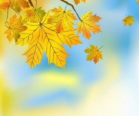 Fall of Maple Leaf elements background vector 03