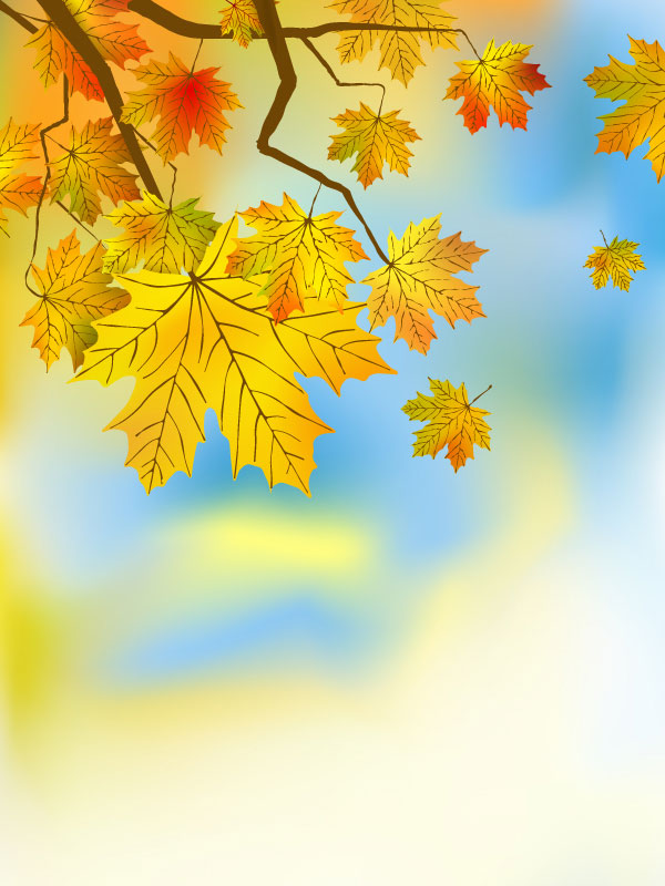 Fall of Maple Leaf elements background vector 03