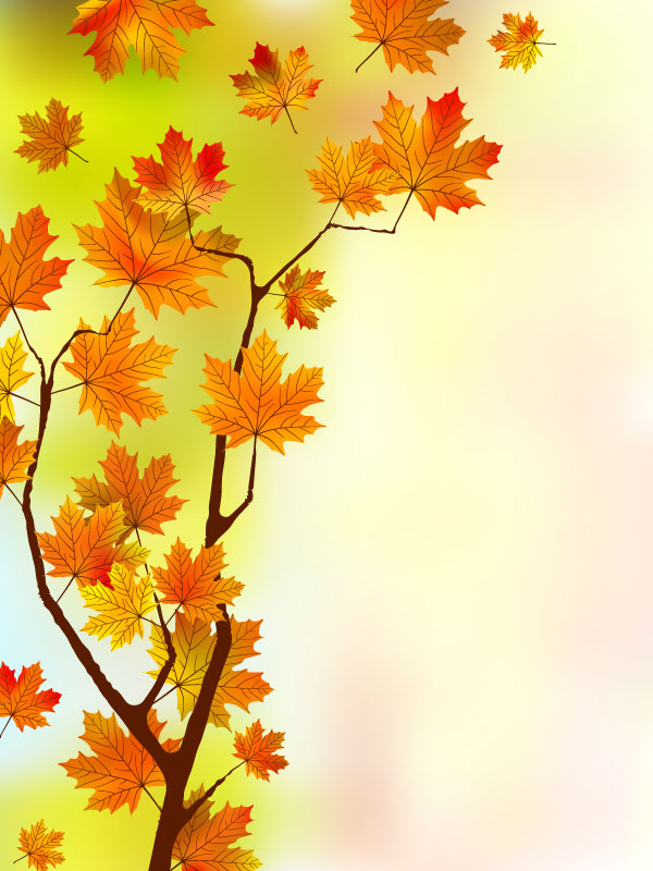 Fall of Maple Leaf elements background vector 04