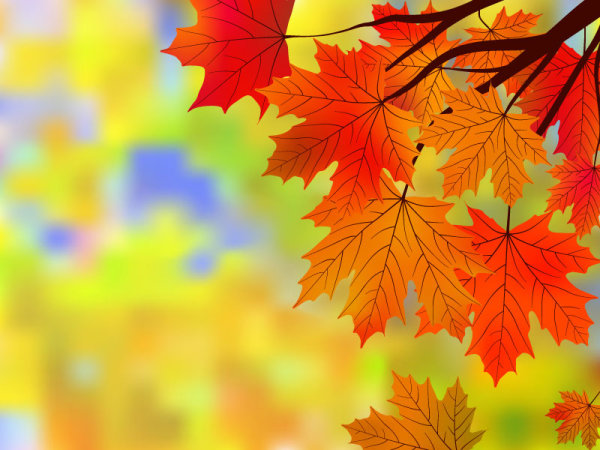 Fall of Maple Leaf elements background vector 05