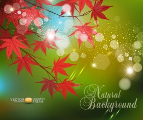 Fall of Maple Leaf elements background vector 09