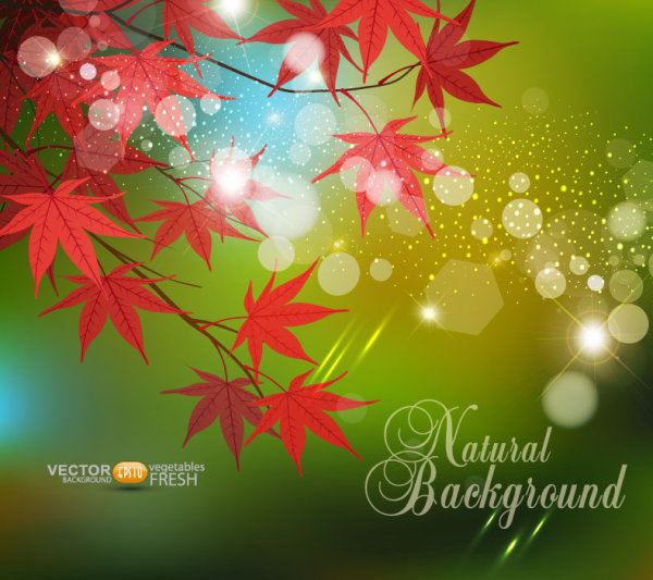 Fall of Maple Leaf elements background vector 09