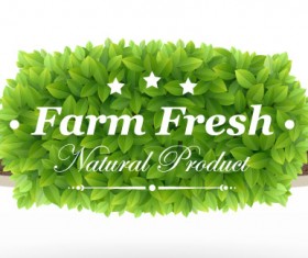 Green leaves with ribbons elements label vector 02