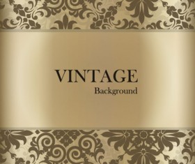 Vintage lace background vector 04