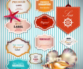 pearls and seashells elements label vector 01