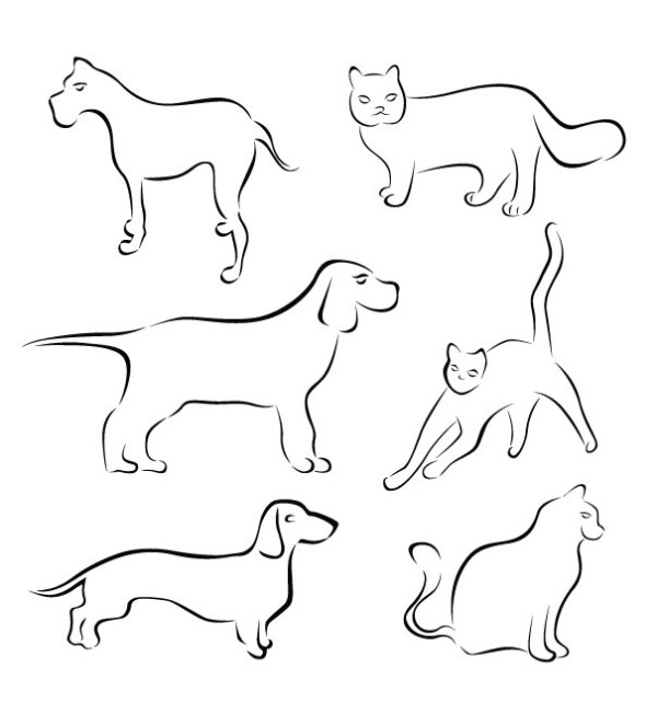 Various Hand drawn Animal vector