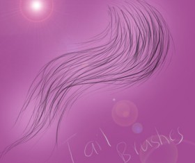 tail brushes