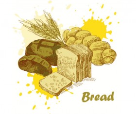 Hand drawn Different food elements vector 01