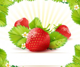 Fresh strawberry elements background vector 01
