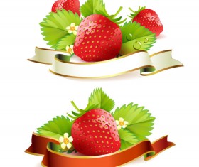 Fresh strawberry elements background vector 03