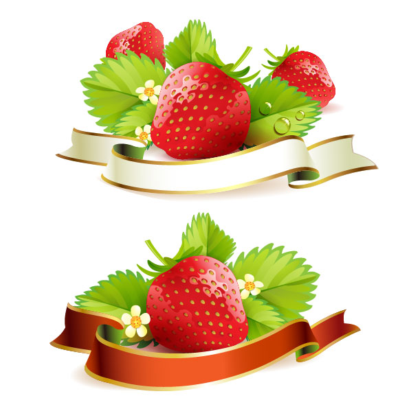 Fresh strawberry elements background vector 03