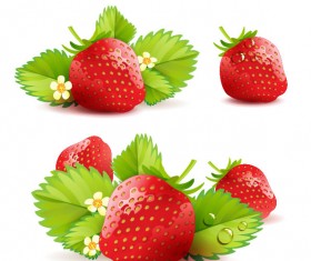 Fresh strawberry elements background vector 05