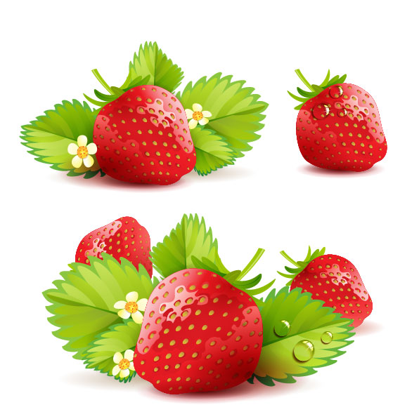Fresh strawberry elements background vector 05