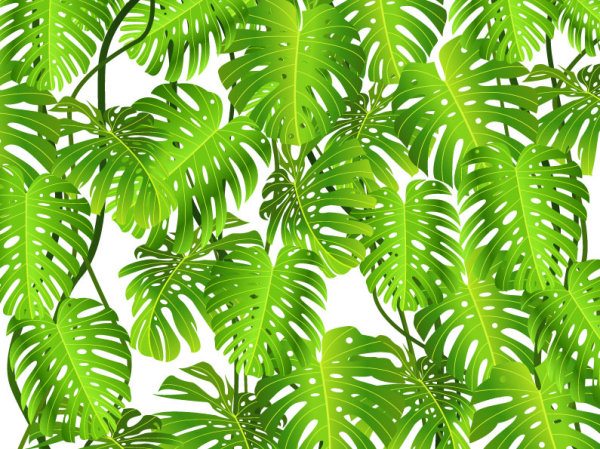 tropical Green leaf elements vector background 03