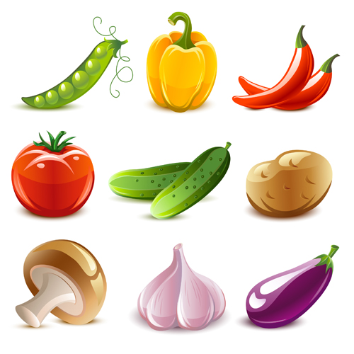 Elements of Various Glossy fruit vector 04