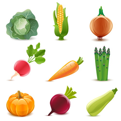 Elements of Various Glossy fruit vector 05