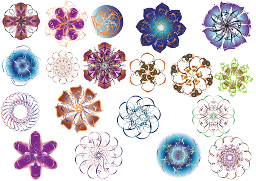 Set of Color Ornaments Flowers art graphic vector