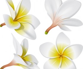 Vivid Open flowers vector 01
