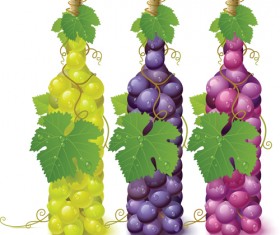 Vivid grapes elements vector background art 02